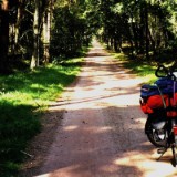 0209F 14 Wald im Emsland